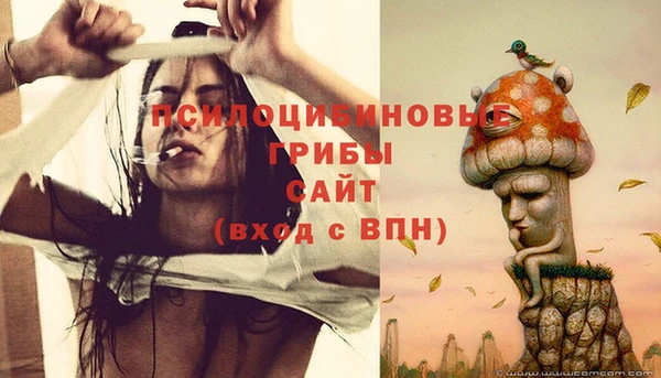 гидра Нефтекумск