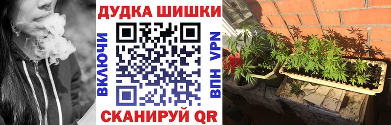 Шишки марихуана AK-47  купить наркоту  omg ссылки  Оленегорск 
